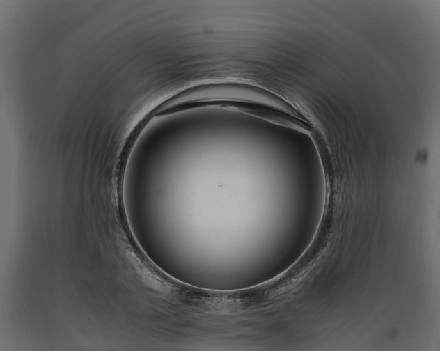 X0000089920789200707061018
