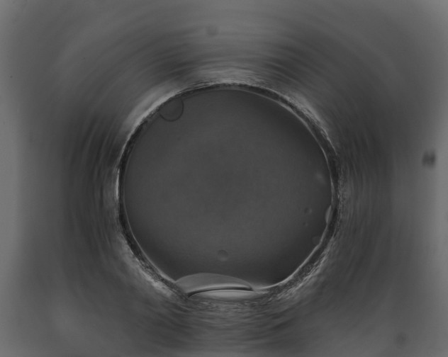 X0000089920790200707061018