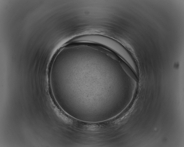 X0000089920792200707061018