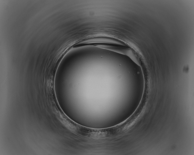 X0000089920793200707061018