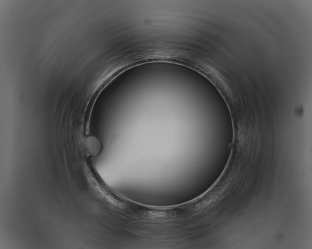 X0000089920794200707061018