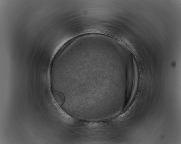 X0000089920796200707061018
