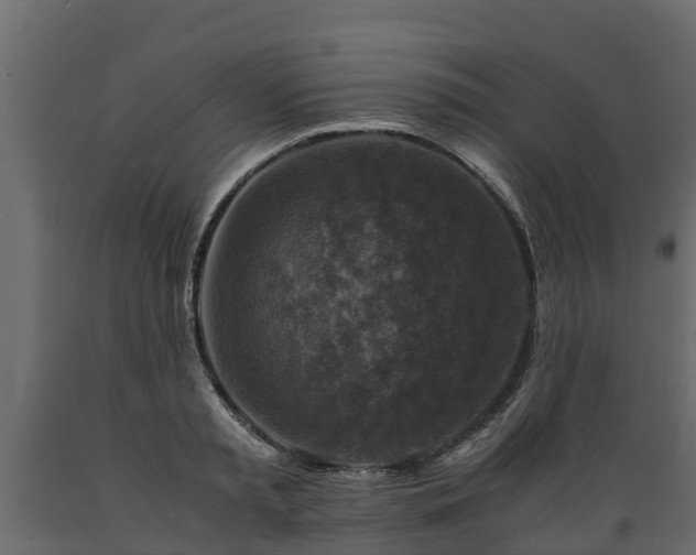 X0000089920797200707061018