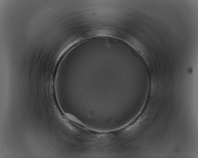 X0000089920798200707061018