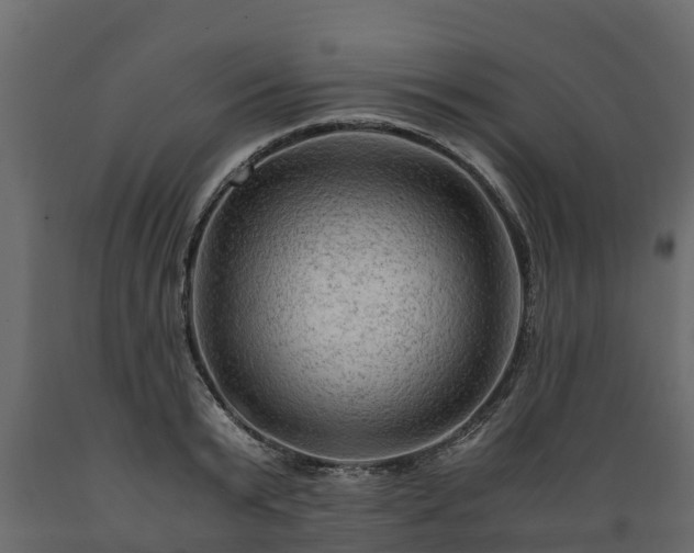 X0000089920799200707061018
