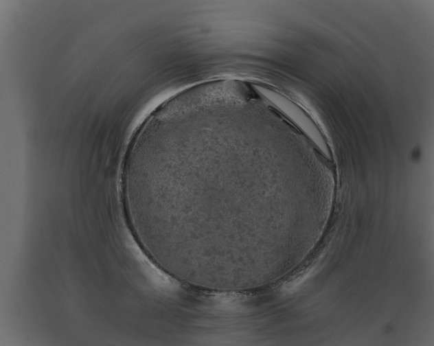 X0000089920803200707061018