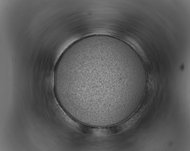 X0000089920804200707061018
