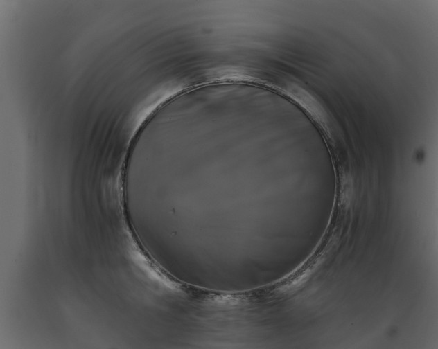 X0000089920806200707061018