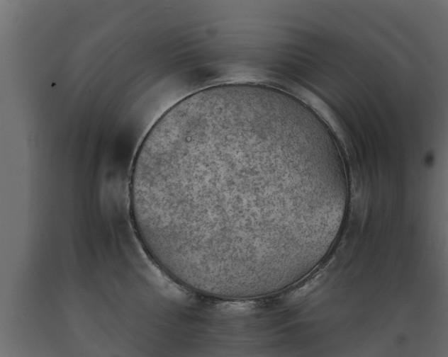 X0000089920810200707061018