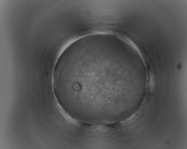 X0000089920811200707061018