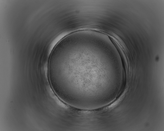 X0000089920812200707061018