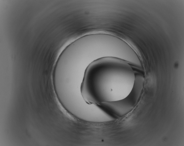 X0000089920813200707061018