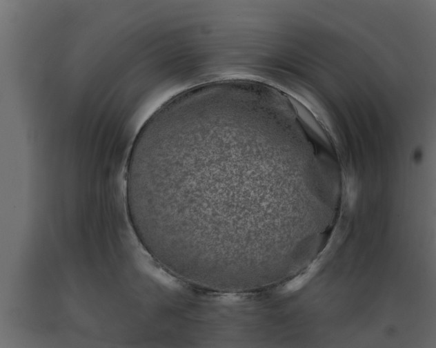 X0000089920814200707061018