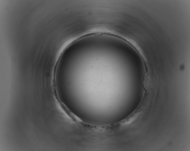 X0000089920815200707061018