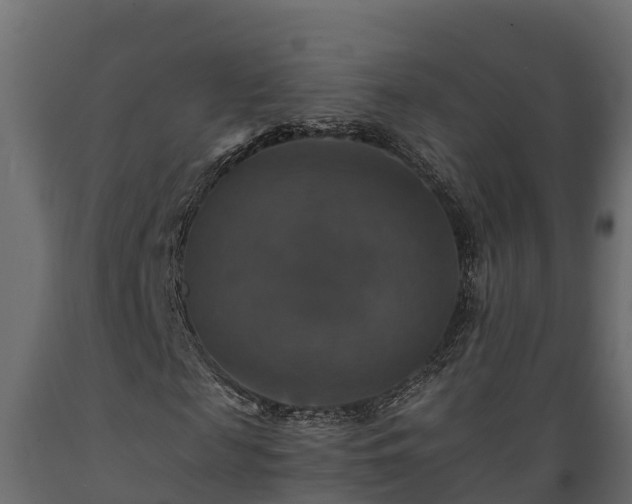 X0000089920817200707061017