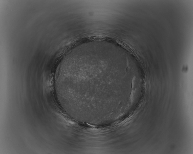 X0000089920818200707061017