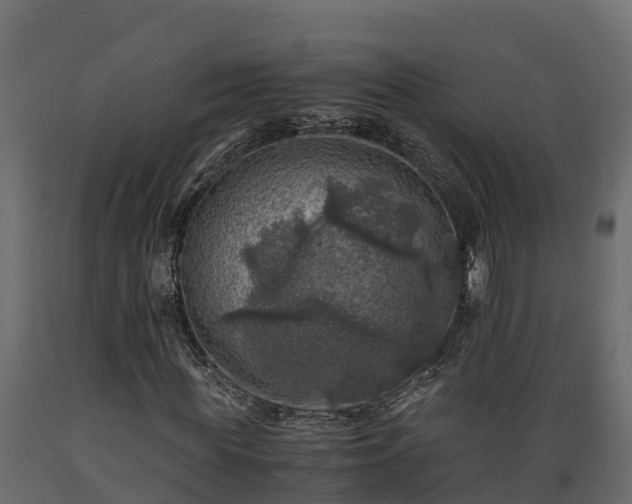 X0000089920819200707061017