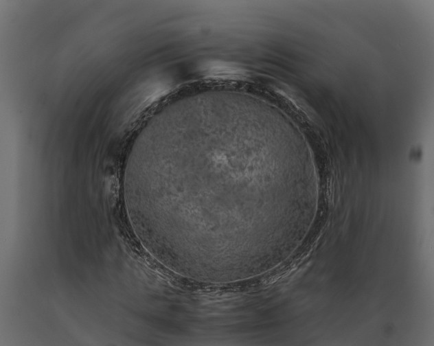 X0000089920821200707061017