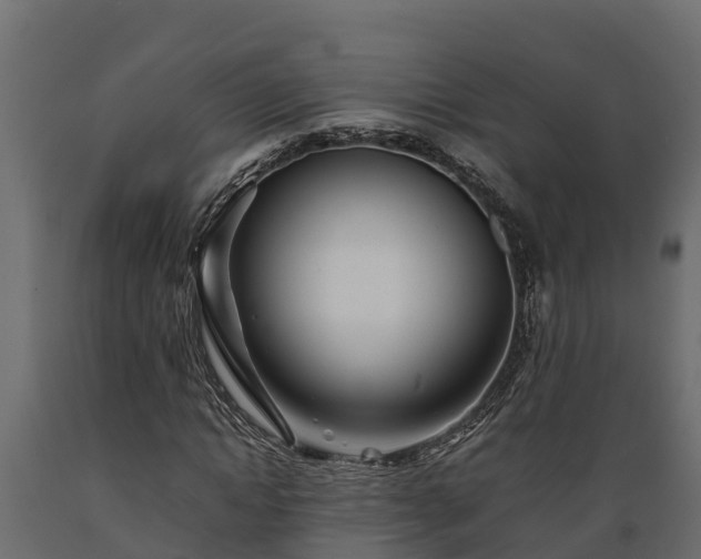 X0000089920822200707061017
