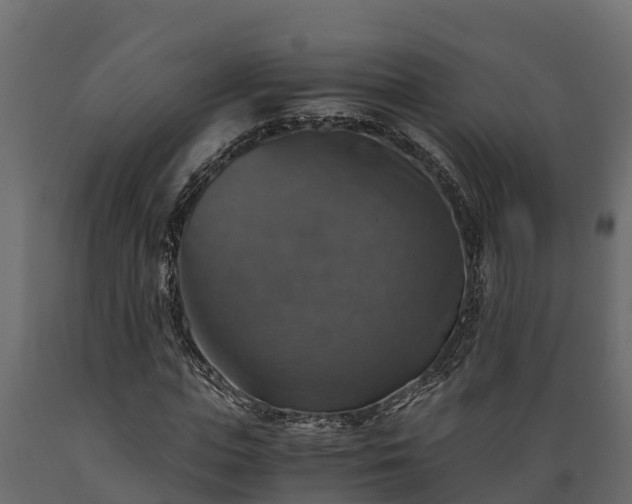 X0000089920823200707061017