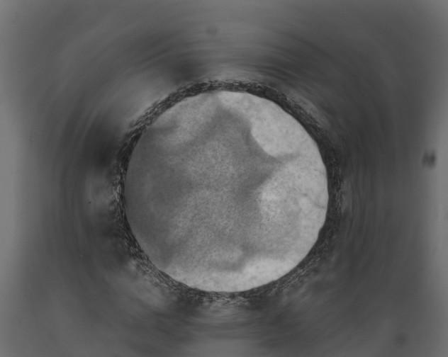 X0000089920824200707061017