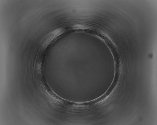 X0000089920825200707061017