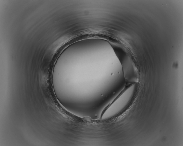 X0000089920826200707061017