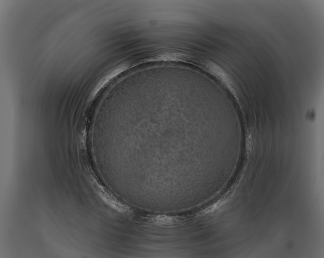 X0000089920827200707061017