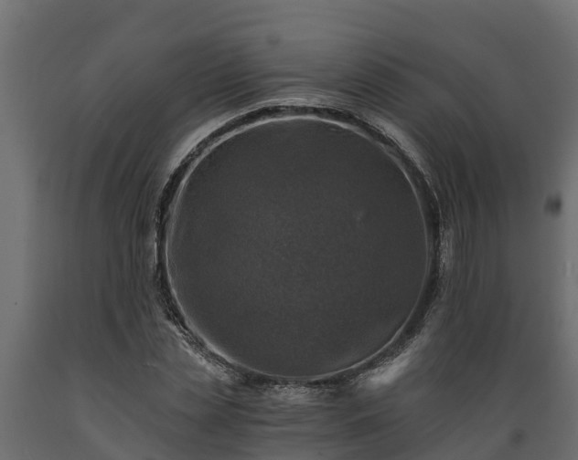 X0000089920829200707061017