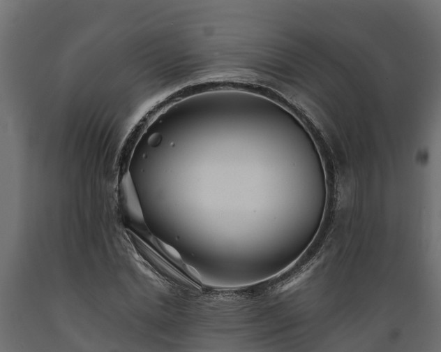 X0000089920830200707061017