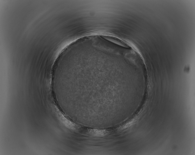 X0000089920831200707061017