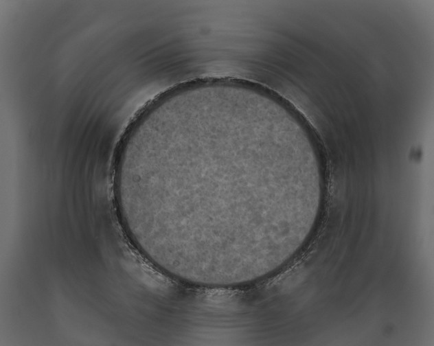X0000089920832200707061017