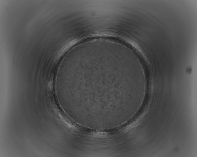X0000089920833200707061017