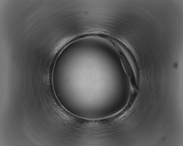 X0000089920834200707061017
