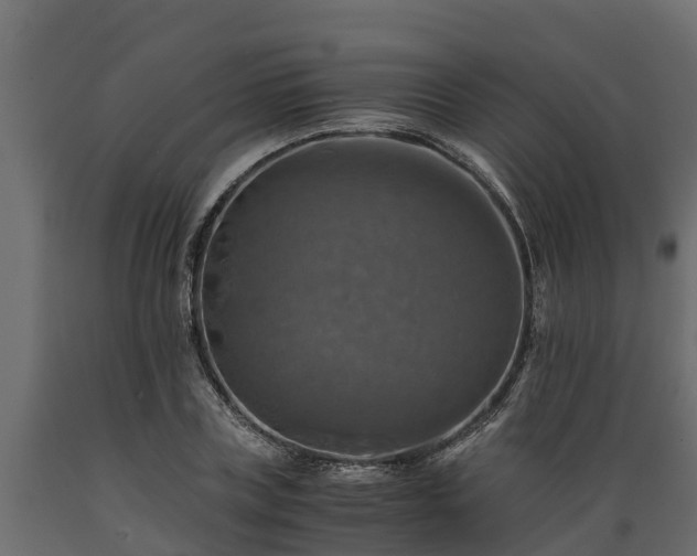 X0000089920835200707061017
