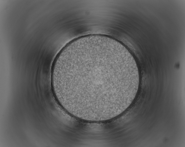 X0000089920836200707061017