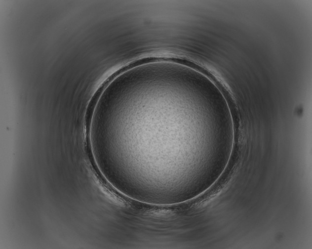 X0000089920837200707061017