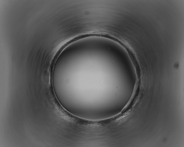 X0000089920838200707061017