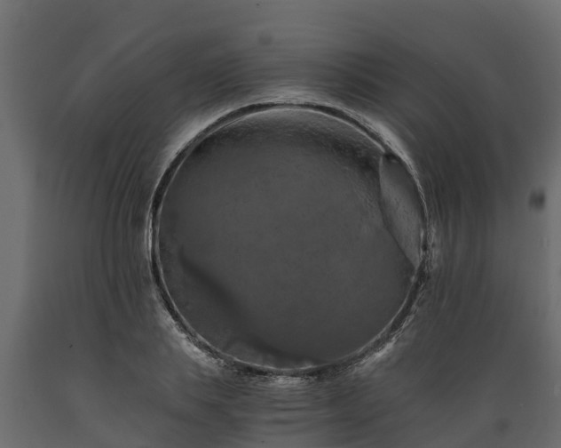 X0000089920839200707061017