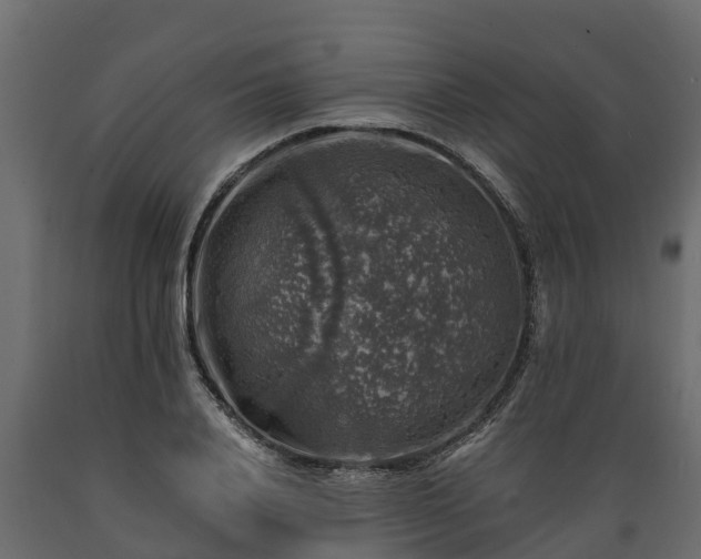 X0000089920840200707061017