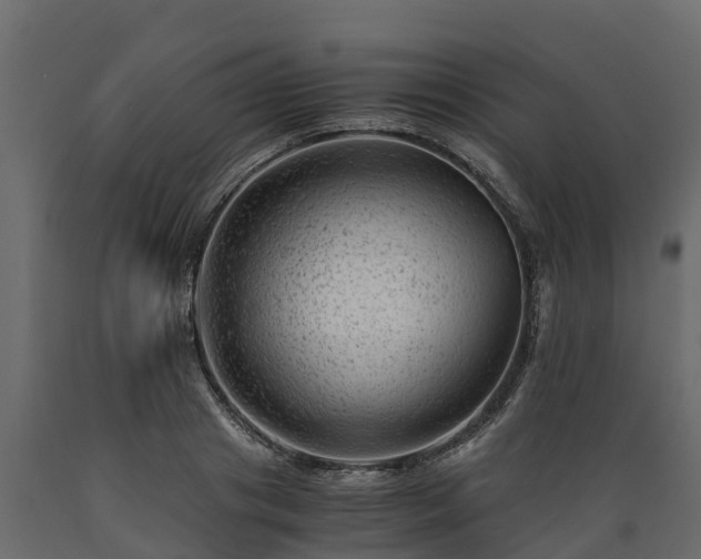 X0000089920841200707061017
