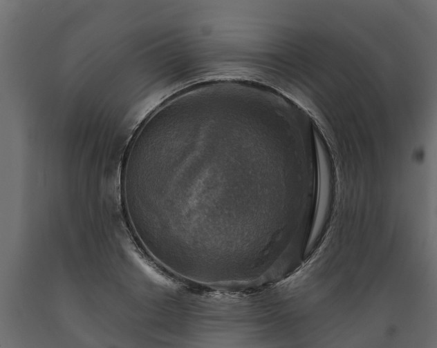 X0000089920842200707061017