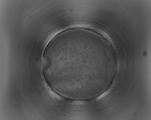X0000089920844200707061017