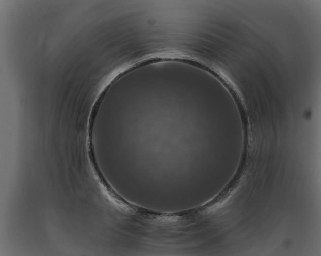 X0000089920845200707061017