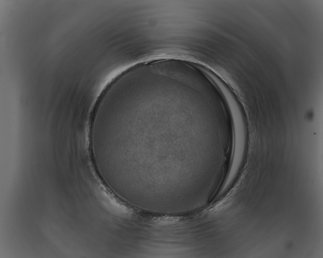 X0000089920846200707061017