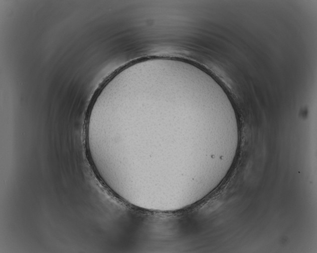 X0000089920848200707061017