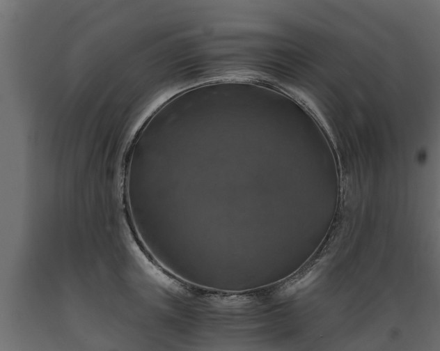 X0000089920851200707061017