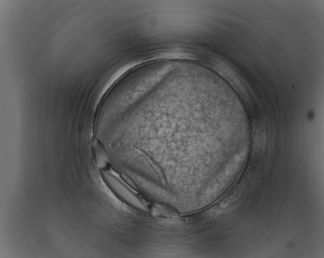 X0000089920852200707061017