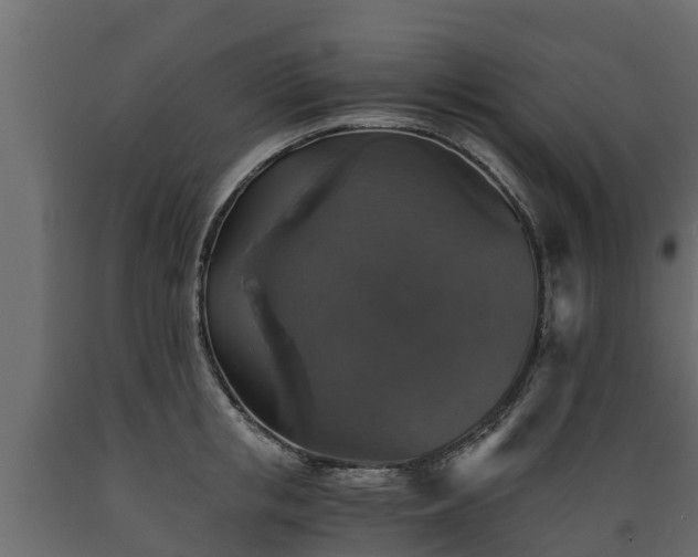 X0000089920853200707061017