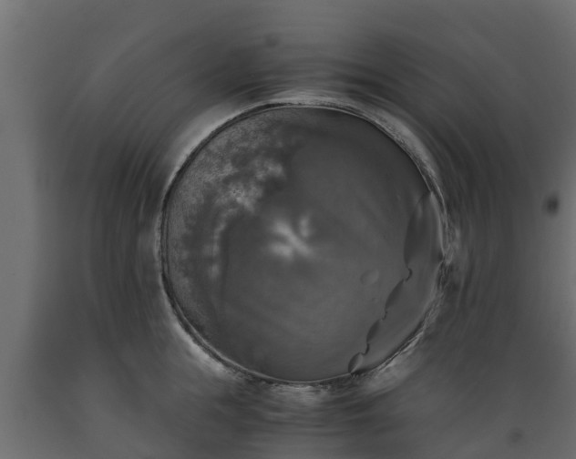 X0000089920855200707061018